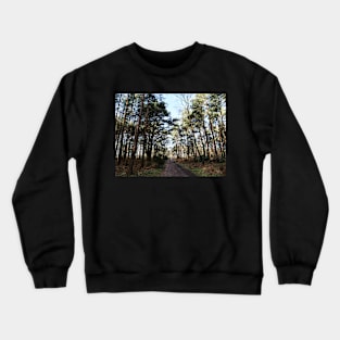 Cycling at Swinley Forest among the woods Crewneck Sweatshirt